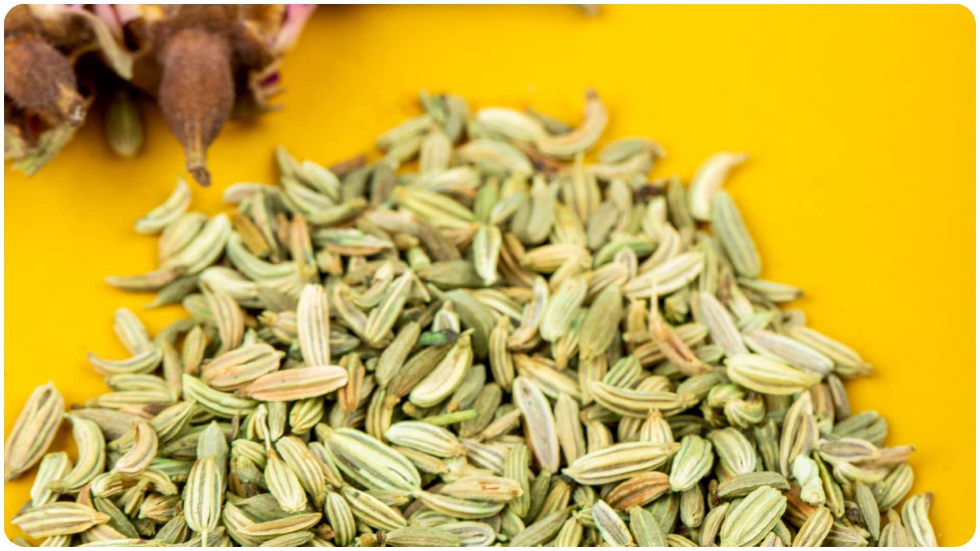 व्रत में गैस से तुरंत राहत कैसे पाएं?