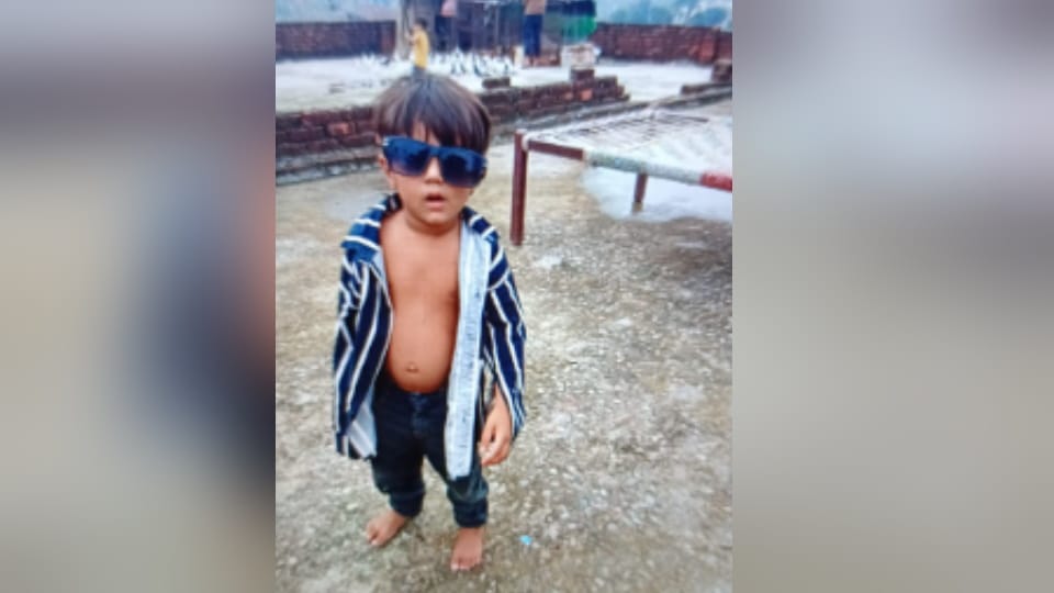 Meerut: Child fell from the roof while playing, died during treatment, the only light of the house extinguishe