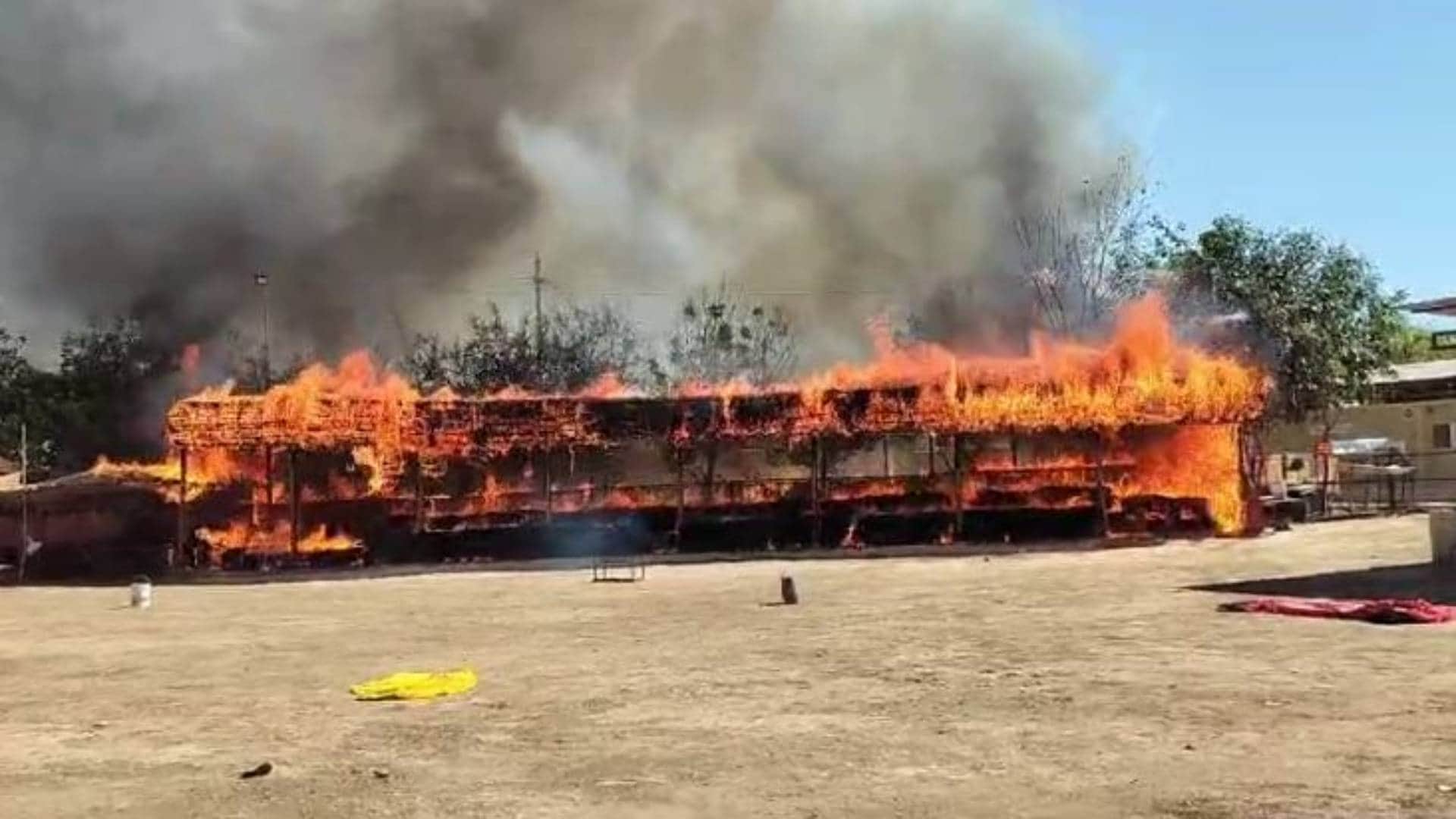 Gwalior MP News Fire broke out in Madhya Pradesh largest cowshed more than 10 thousand cattle present