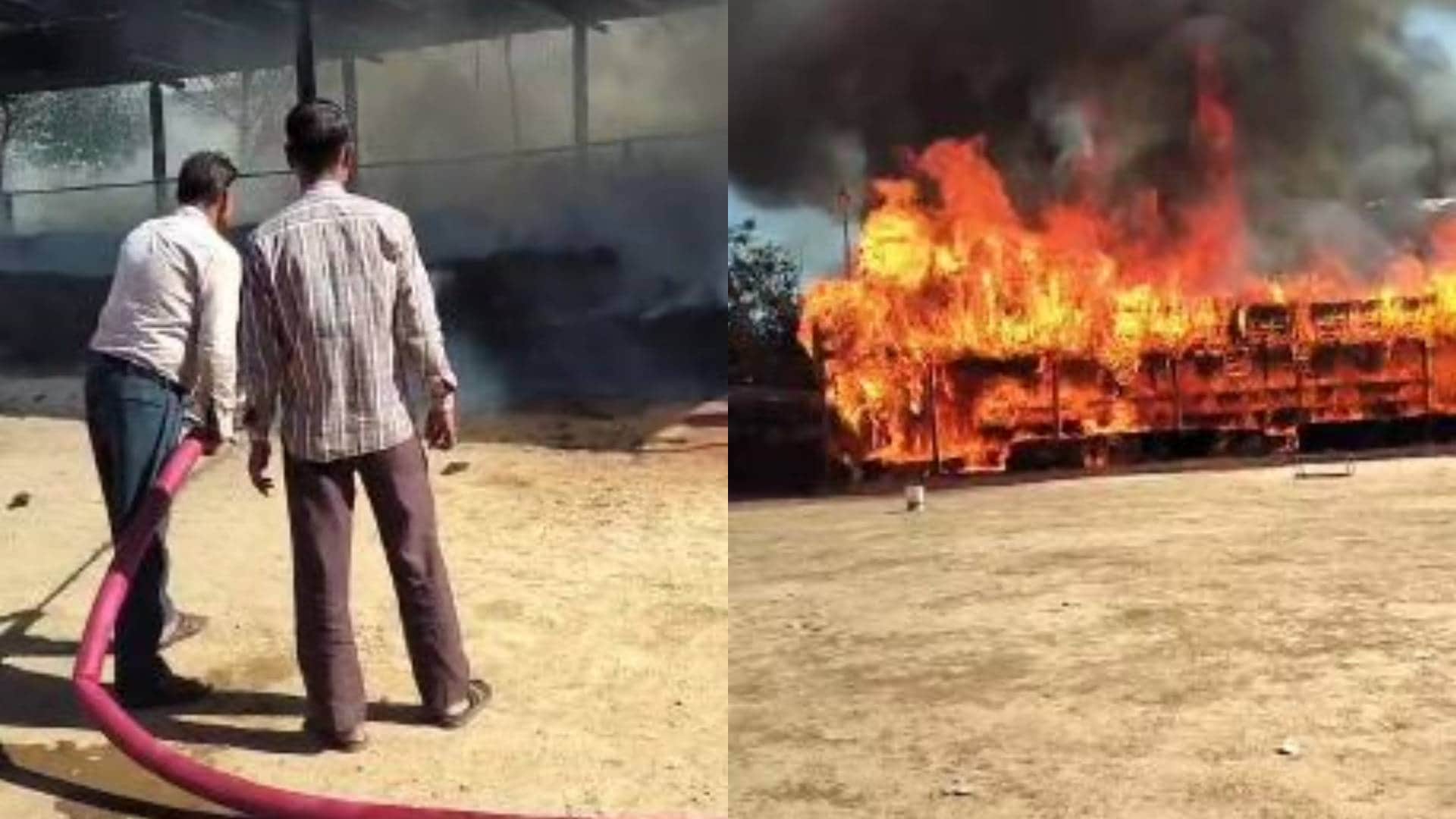 Gwalior MP News Fire broke out in Madhya Pradesh largest cowshed more than 10 thousand cattle present