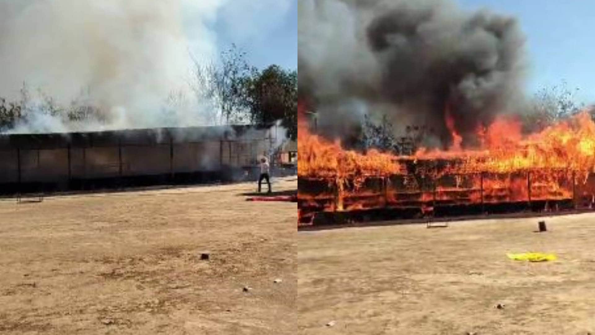 Gwalior MP News Fire broke out in Madhya Pradesh largest cowshed more than 10 thousand cattle present