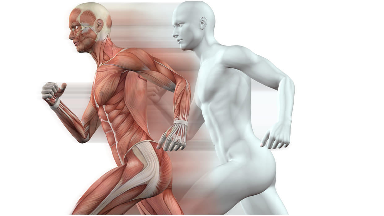 Why Protein Intake After Workout Is Important Know the Benefits of Protein In Hindi