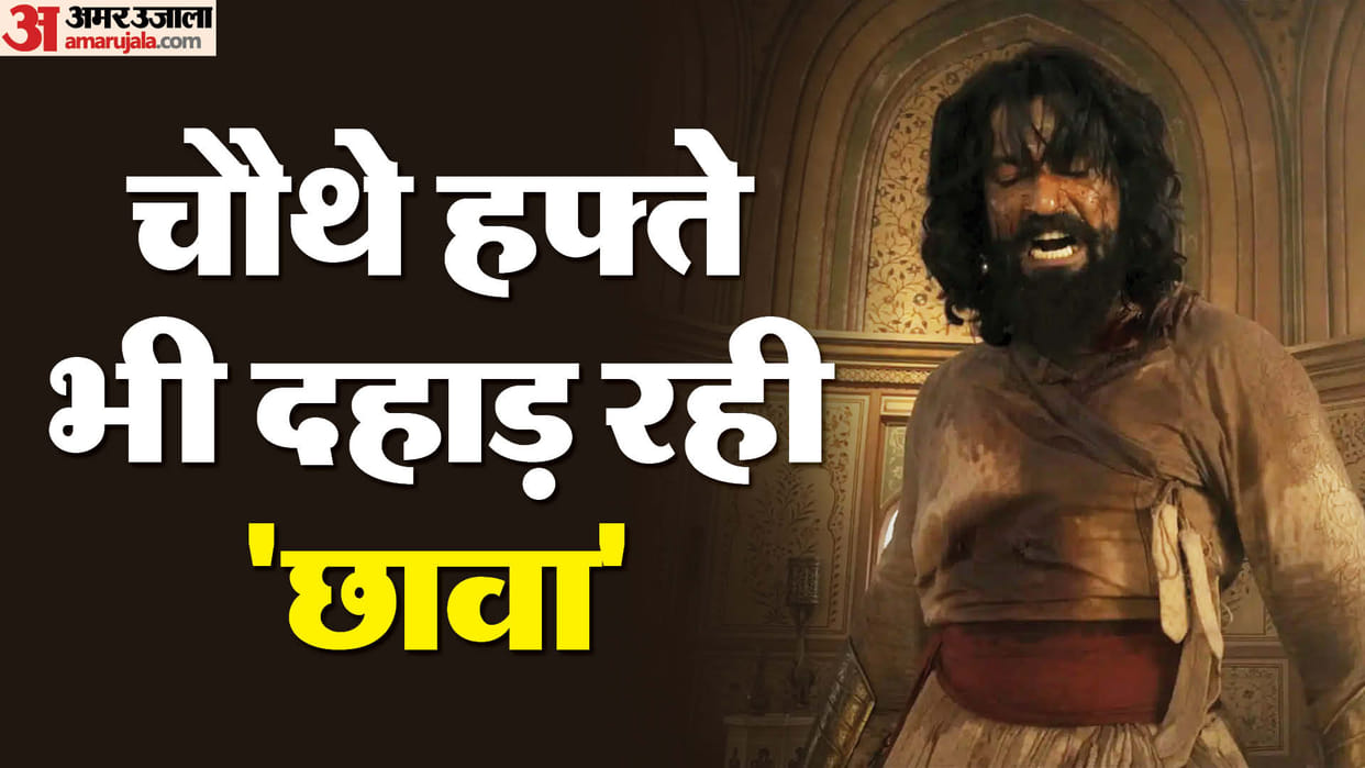 Chhaava box office collection day 22 vicky kaushal rashmika mandanna laxman utekar akshaye khanna film earning
