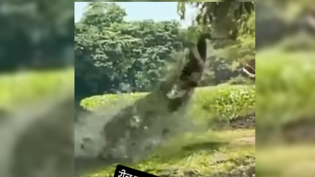 Magarmach Ka Video Crocodile Attack on girl Ladki Ko Magarmach Ne Dabocha Video