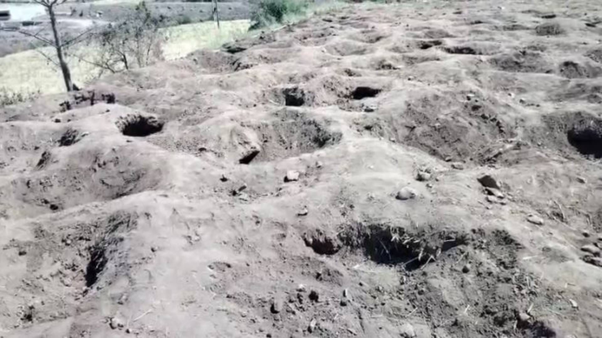MP News earth is spewing gold coins in Burhanpur People dug up several acres of fields in dark night