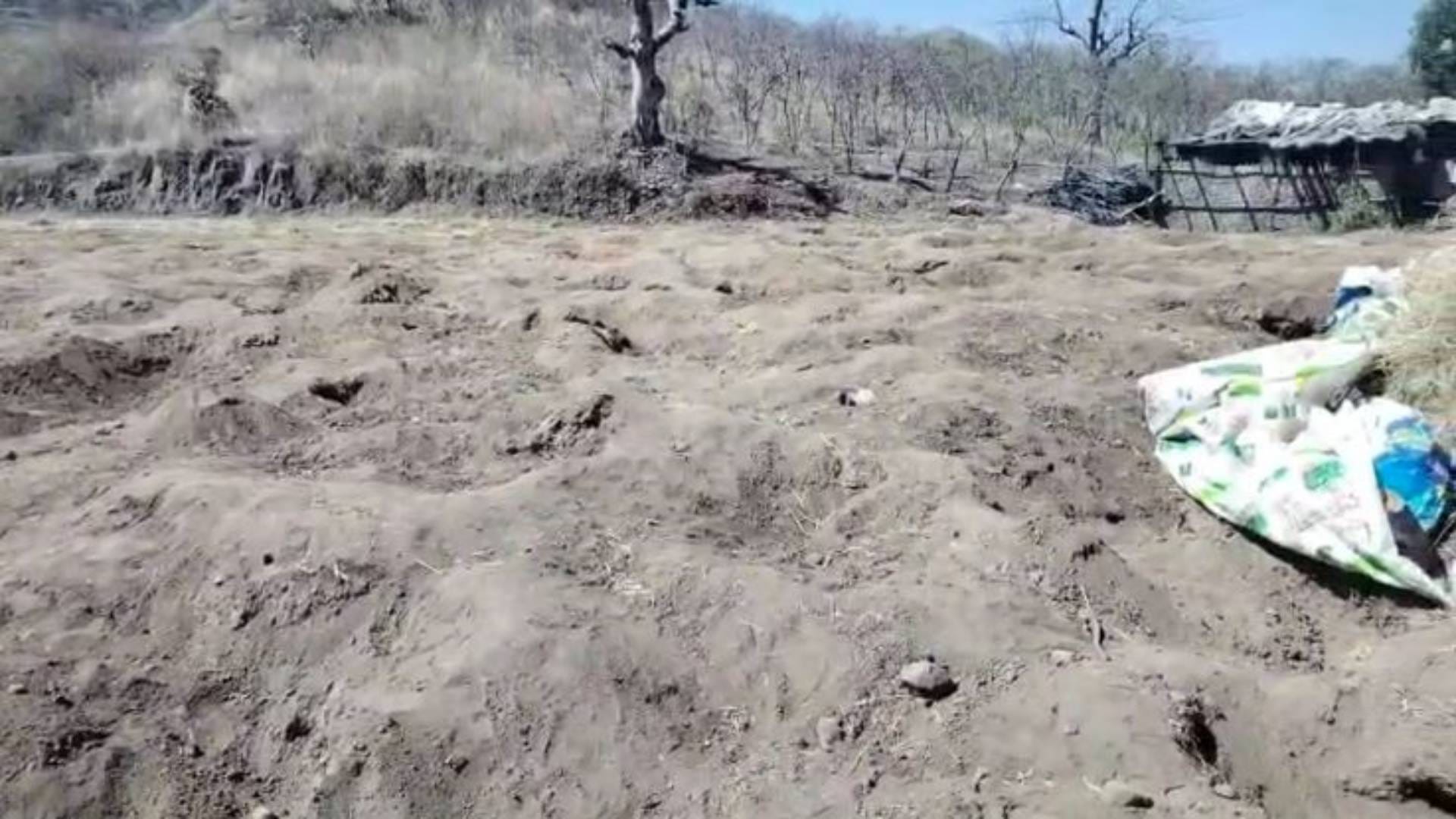 MP News earth is spewing gold coins in Burhanpur People dug up several acres of fields in dark night