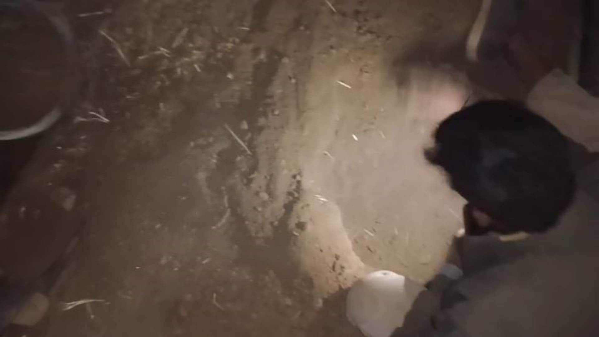 MP News earth is spewing gold coins in Burhanpur People dug up several acres of fields in dark night