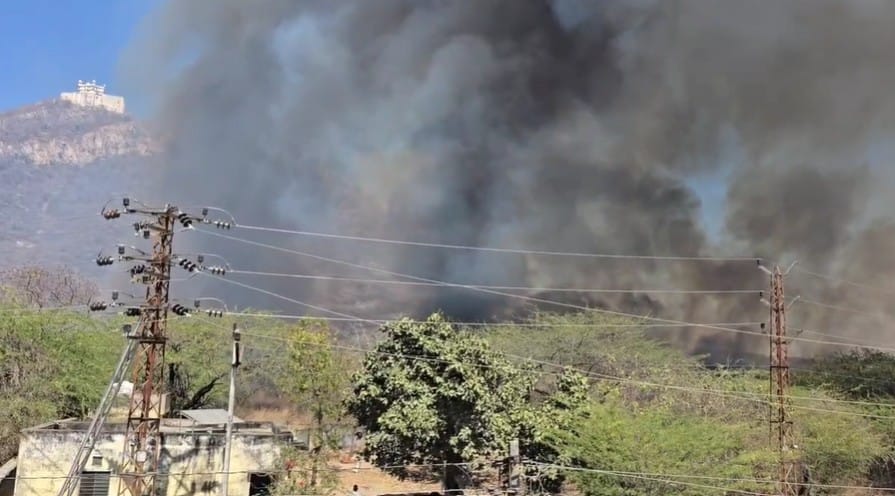 Rajasthan Wildlife Sanctuary Sajjangarh Fire News Authorities Asked to Leave House News in Hindi