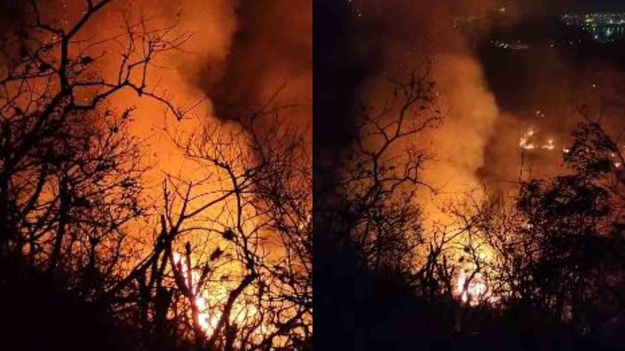Udaipur News: The fire on the hills of Sajjangarh took a terrible form