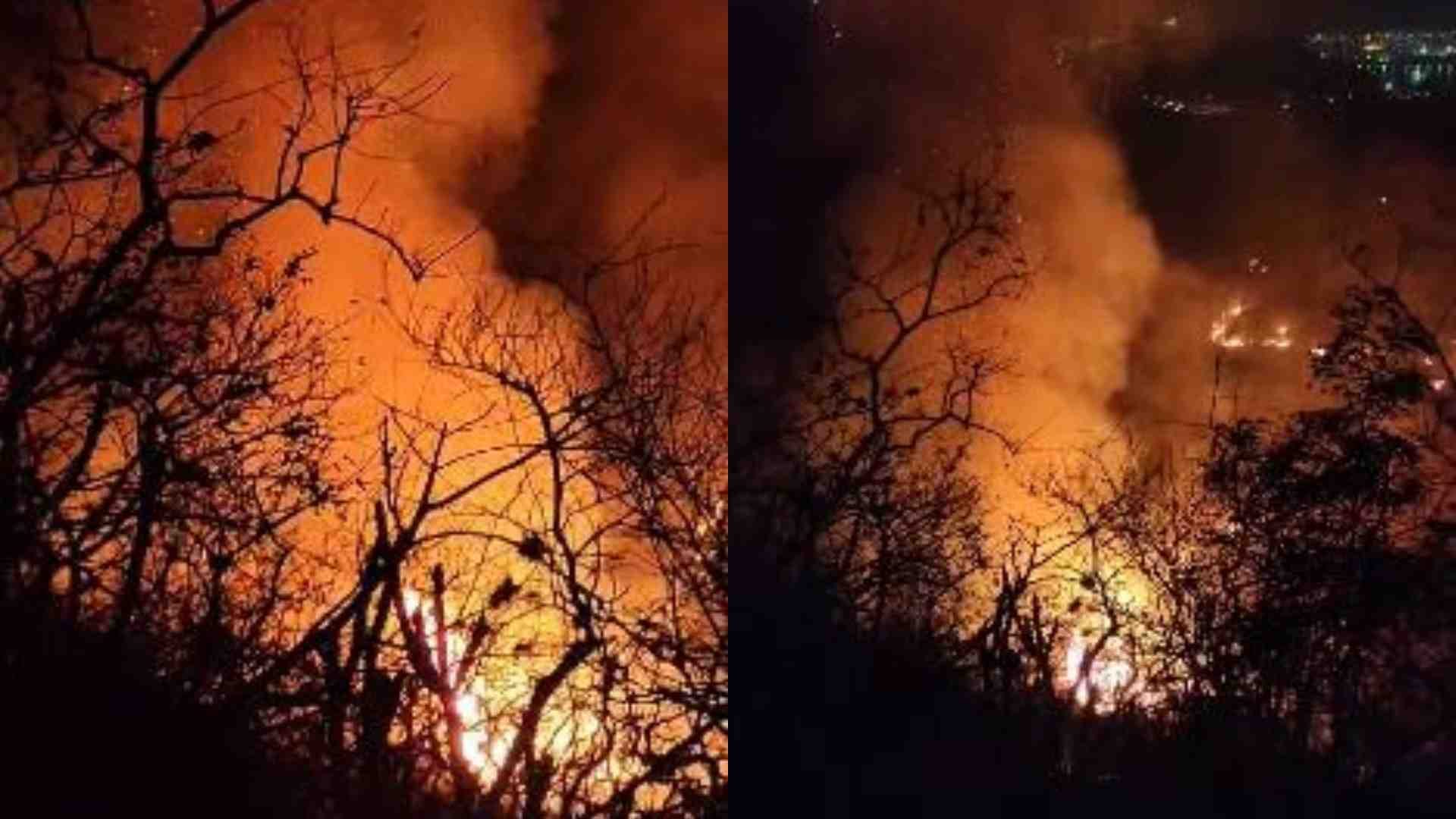 रात 9 बजे आग अचानक तेज हो गई आग।