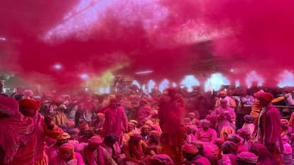 Laddu Holi 2025 Celebrations In Radhrani Temple Barsana