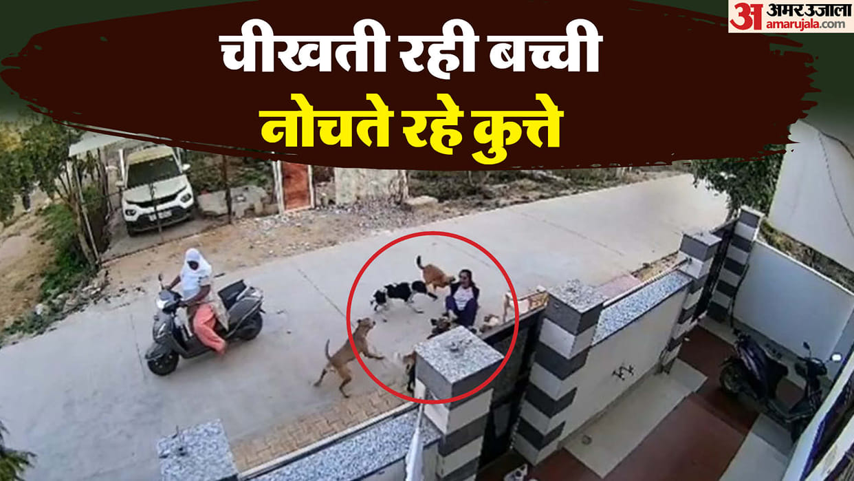 eight to ten dogs attacked a student going home In Alwar