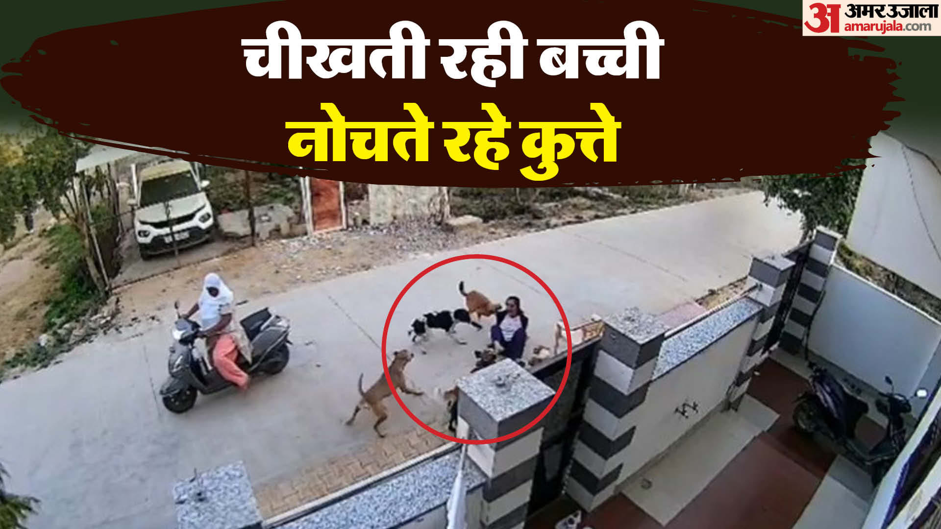 बच्ची को घेरे कुत्ते