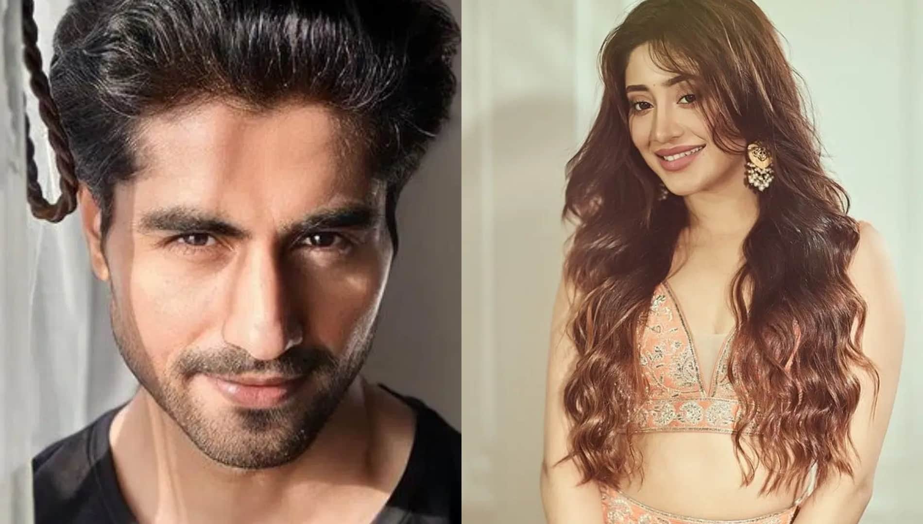 Bade Achhe Lagte Hai New Season Promo Actor Shivangi Joshi Harshad Chopda Fans Reaction