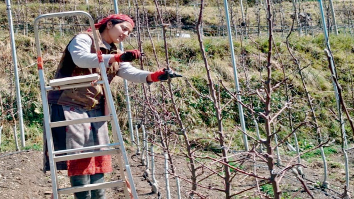 International Women's Day: From farm to playground, daughters are flying high in the sky, read success stories