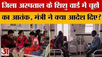 Rat found in pediatric ward of Mandla district hospital video goes viral