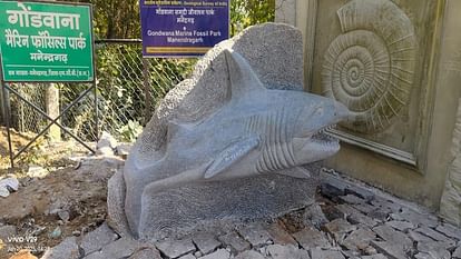 Jurassic Rock Garden Is Being Developed In Gondwana Marine Fossil Park  Tourism Will Get A New Direction In Man - Amar Ujala Hindi News Live -  Manendragarh:गोंडवाना मरीन फॉसिल पार्क में विकसित
