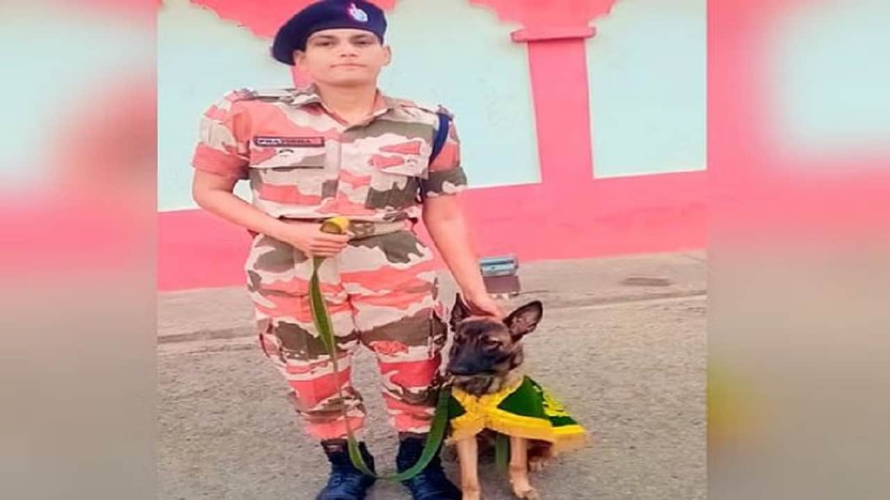 Women's Day 2025 Anshika Verma became IPS without coaching Pratibha chose the challenge