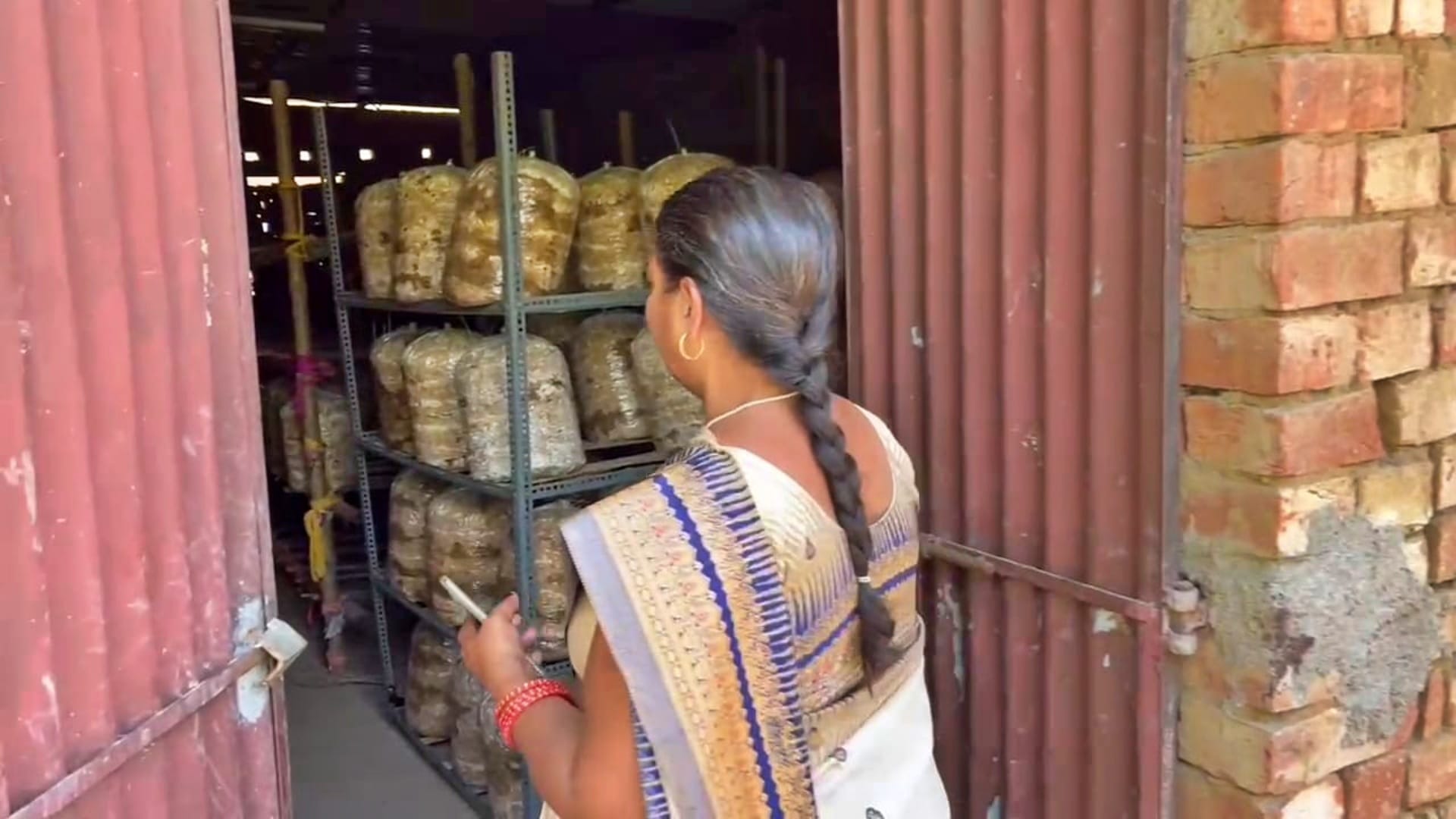 Women's Day: Anita Devi becomes example of women empowerment, creating history in mushroom production; PM Modi