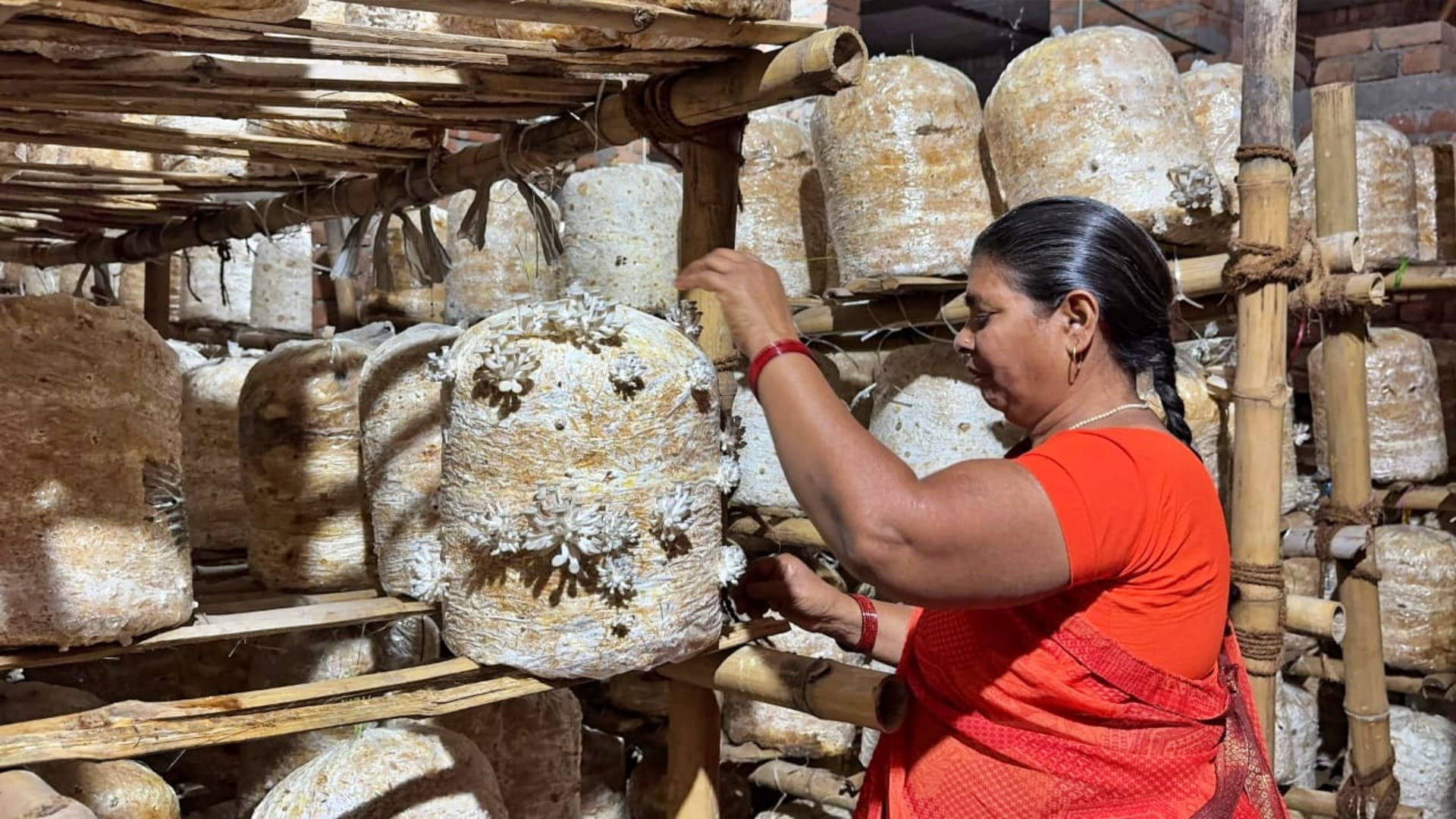 Women's Day: Anita Devi becomes example of women empowerment, creating history in mushroom production; PM Modi