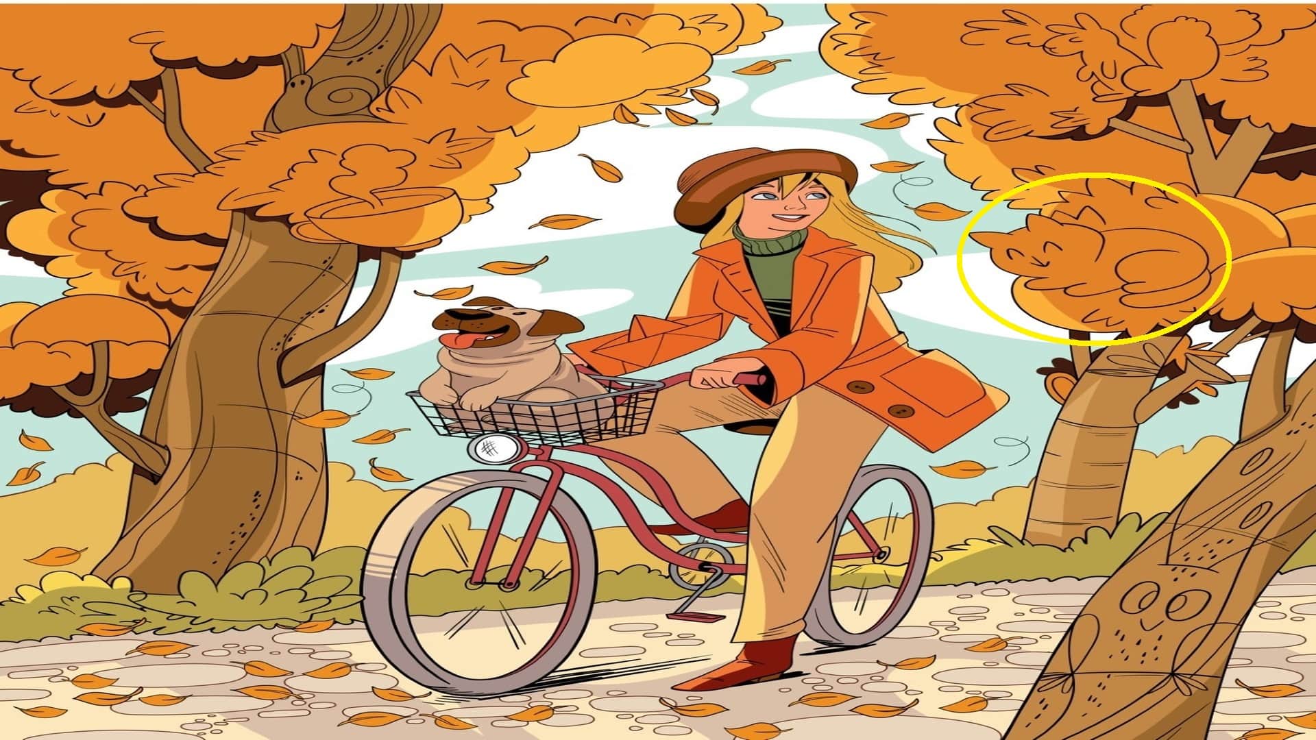 Optical Illusion Iq Test brain test if you are genius then find cat in 5 seconds