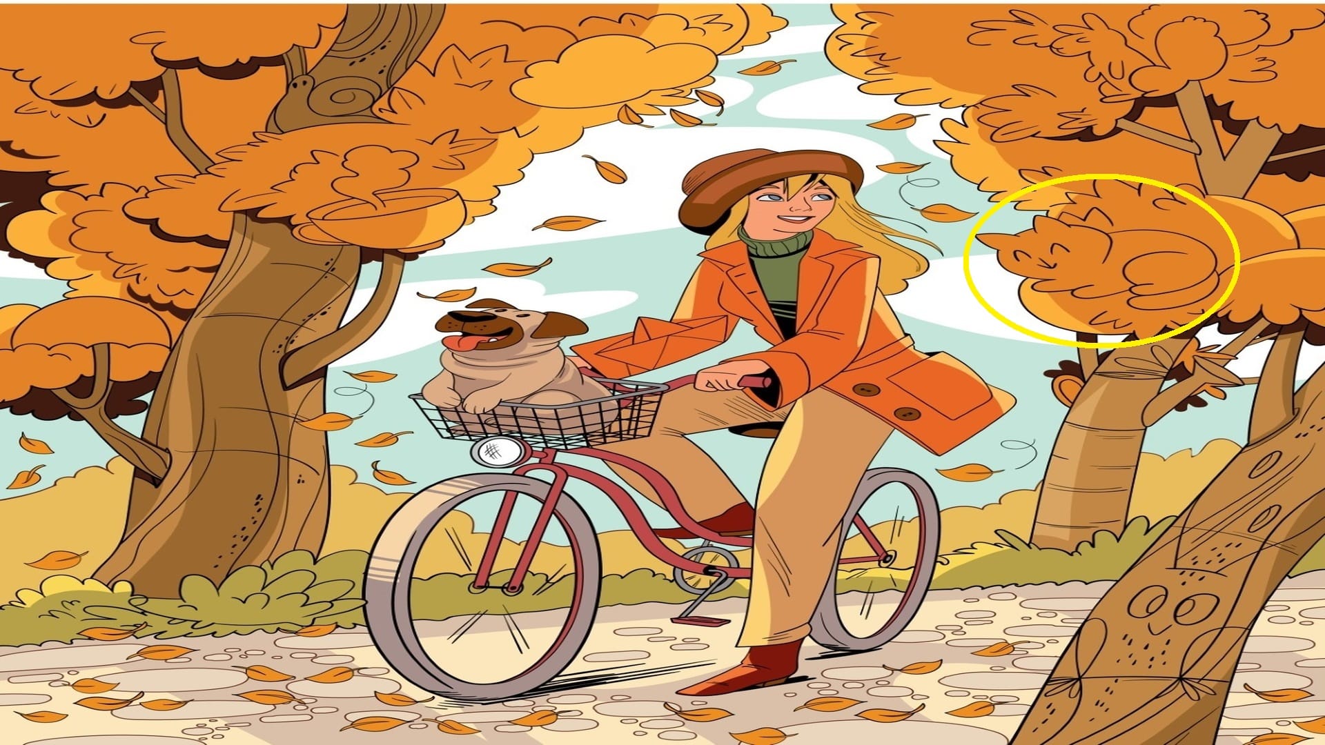 Optical Illusion Iq Test brain test if you are genius then find cat in 5 seconds