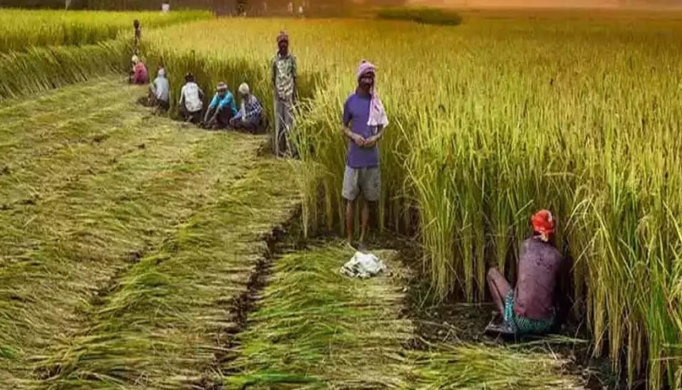 HalloMandi app will deliver farmers produce directly to traders