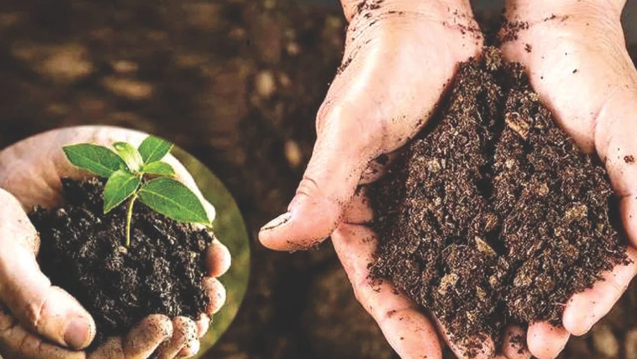 What is problem in adopting cow dung manure? There is need to adopt traditional methods along with modernity