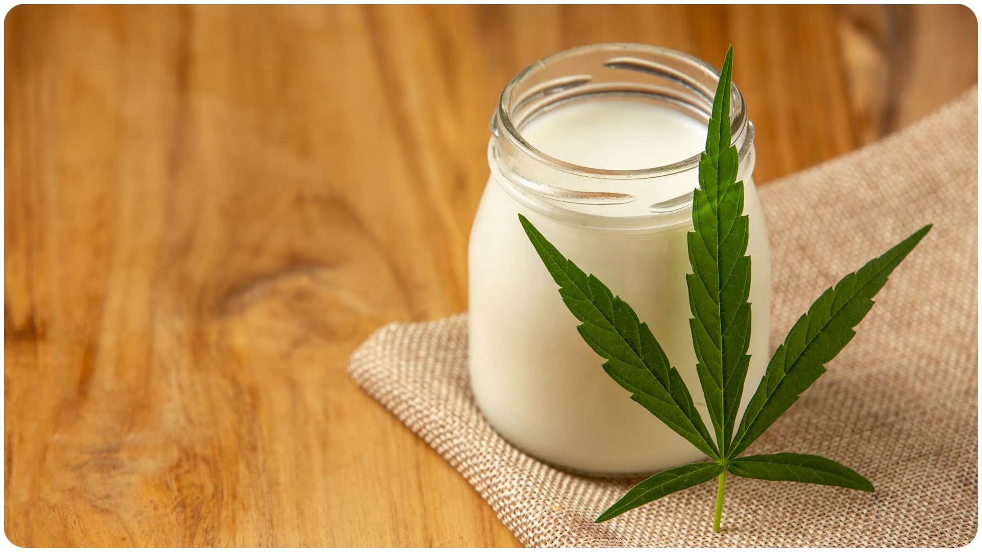 Holi 2026 bhang or alcohol can be dangerous take care of your liver and heart during the Holi celebrations