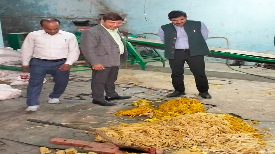 FSDA confiscated 600 kg of coloured papad and 41 kg of khatai 16 samples sent for testing