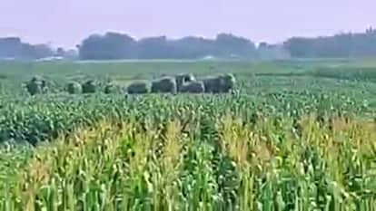 (प्रतीकात्मक फोटो)