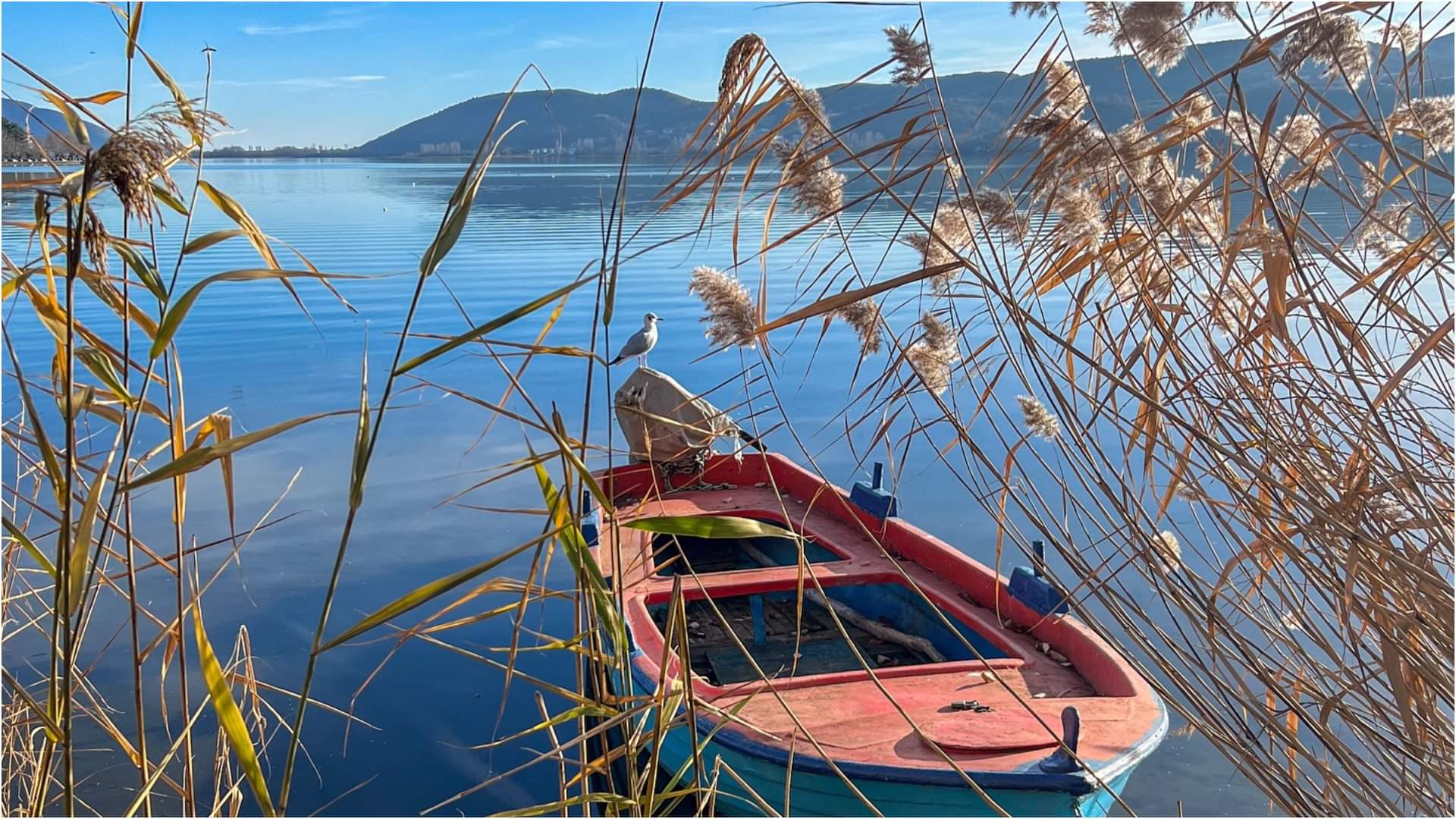 Top 5 Beautiful Lakes in UP Know Names and City Locations Full Details in Hindi