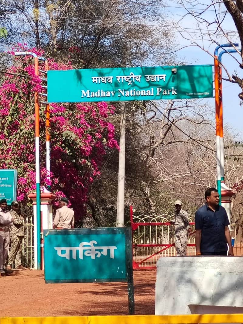 शिवपुरी का माधव नेशनल पार्क बना माधव टाइगर रिजर्व