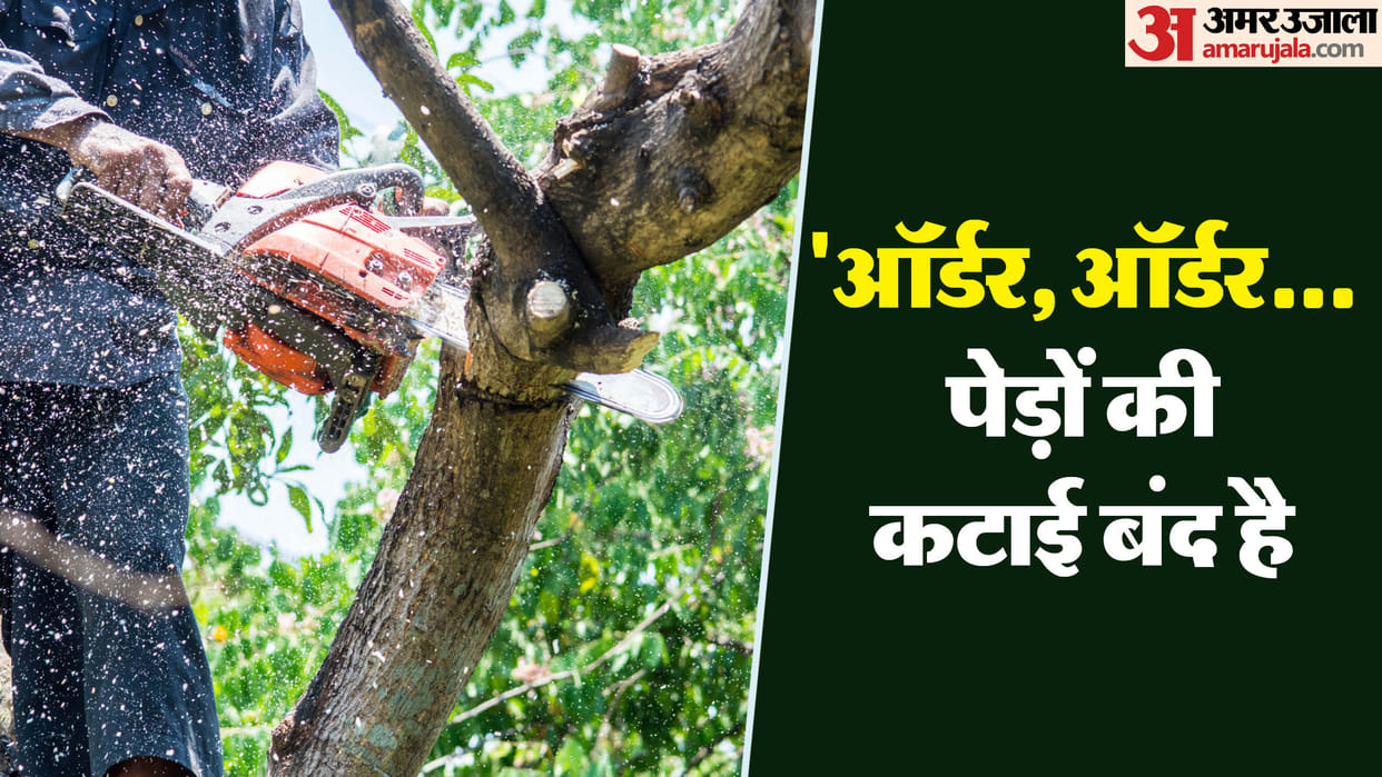 Delhi High Court seeks response on contempt petition filed against cutting of tree at Rani Bagh police station