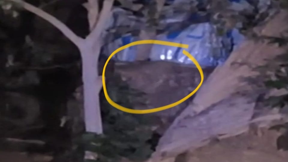 Two leopards were seen in Asarfabad of Atrauli in Aligarh