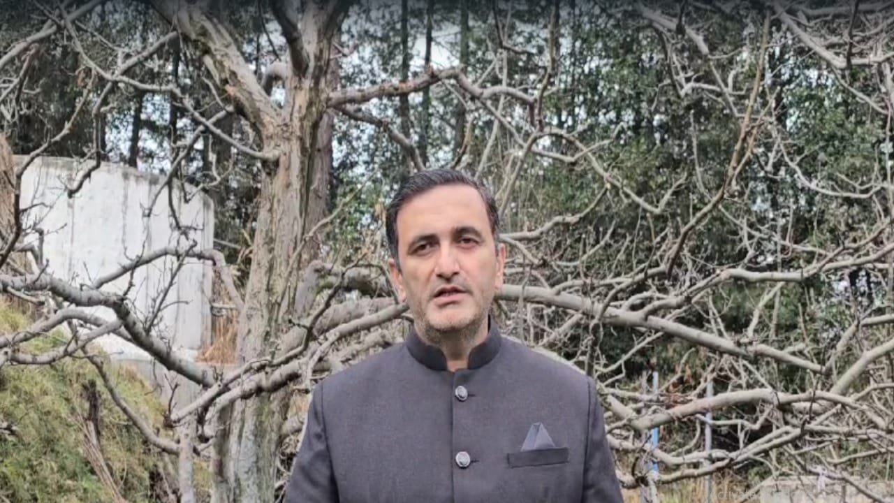 Chetan Bragta said- apple plants are coming from abroad without any investigation and quarantine, there can be