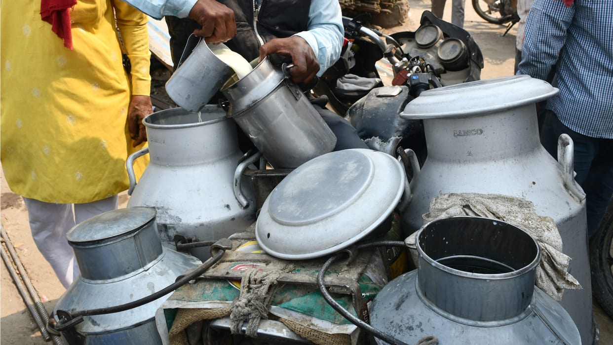 Due to adulteration business in Gorakhpur, consumption of 125 tonnes of milk increased, people making khoya