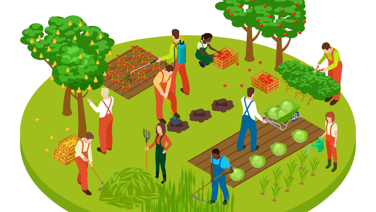 MP Budget 2025: Grant of Rs 6,007 crore to panchayats for rural development