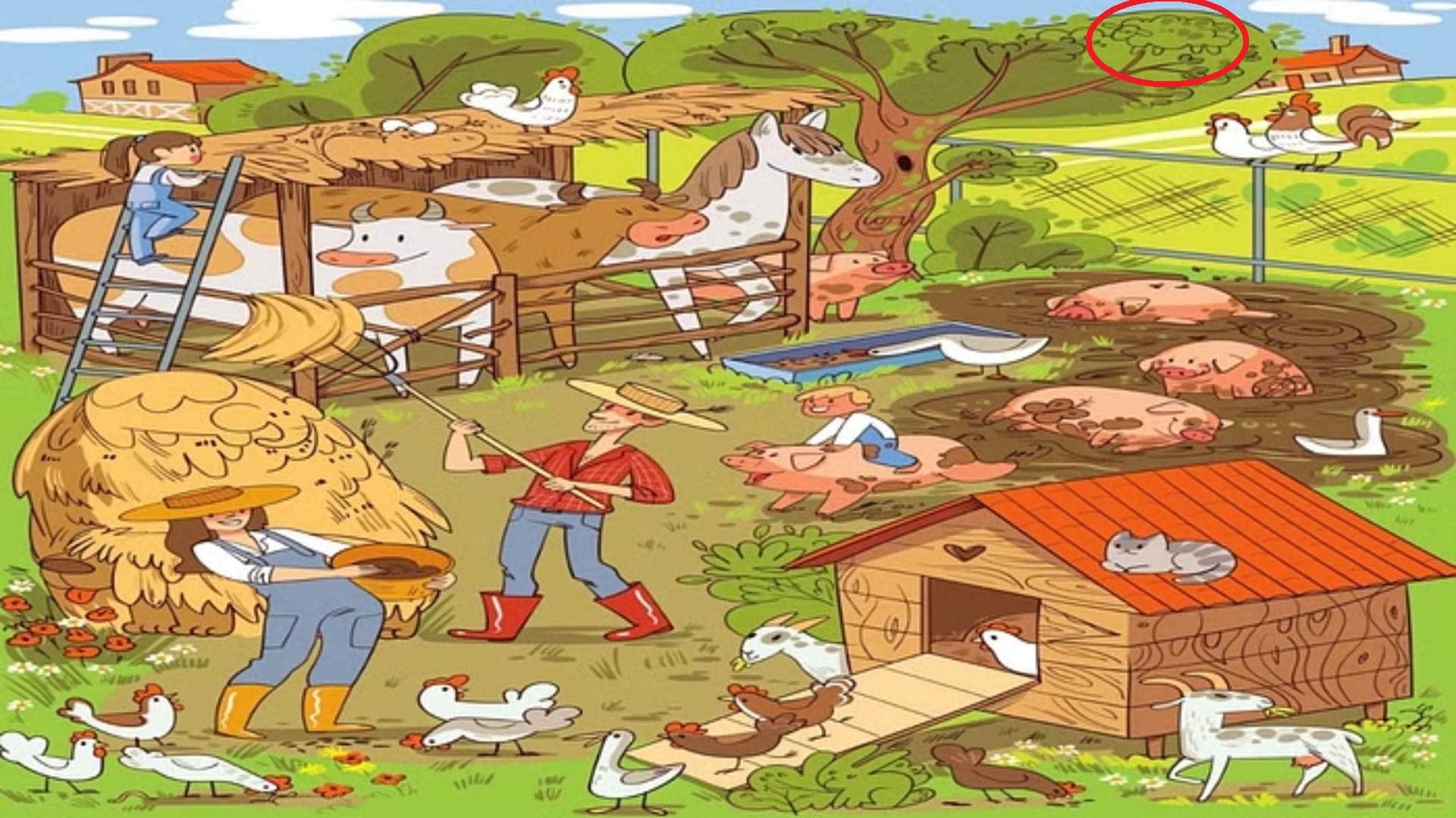 optical illusion iq test brain test if you have hawk eyes then find Sheep in 9 seconds