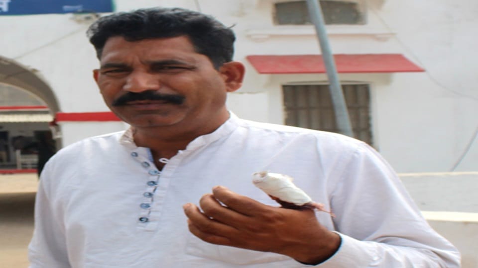 FormerJila Adhyaksh of Bhim Army attacked, thumb chopped off