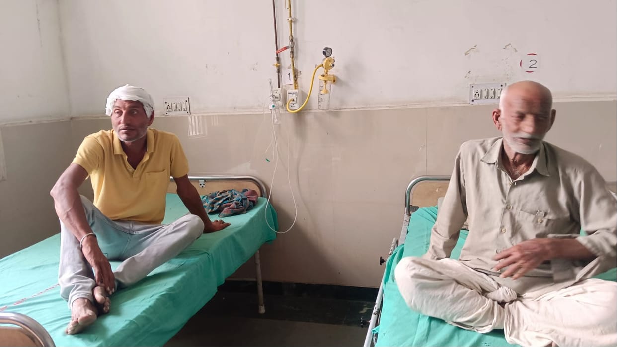50 people were stung by bees at the cremation ground in Narnaul, 11 people are serious