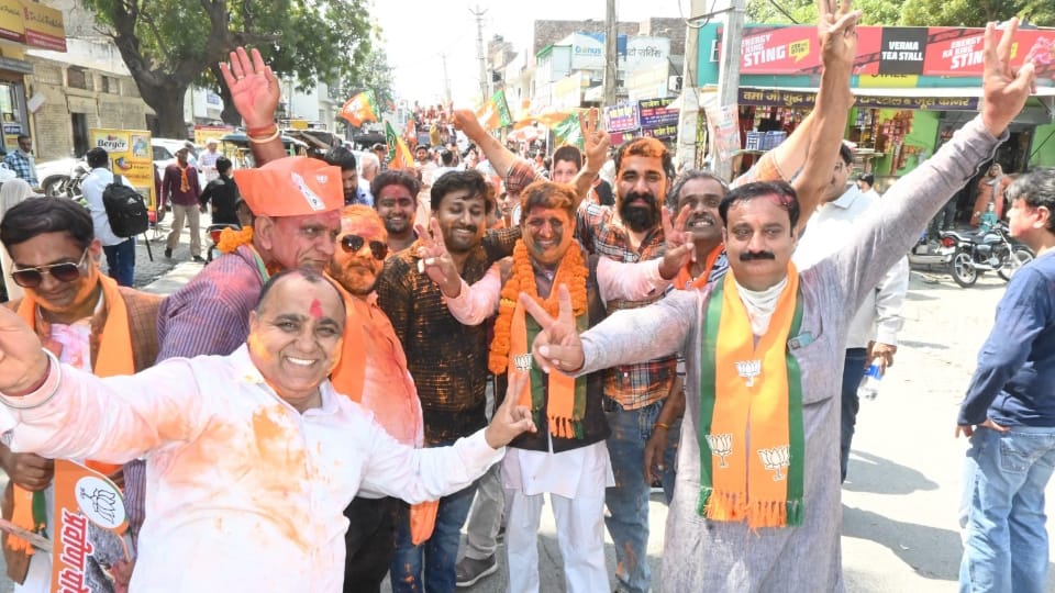 Haryana Civic Polls Result BJP victory  CM Saini dominance and ministers credibility increased