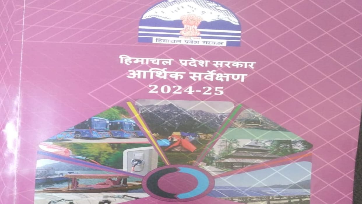 HP Economic Survey Grain production in Himachal Pradesh decreased by 8.47 percent