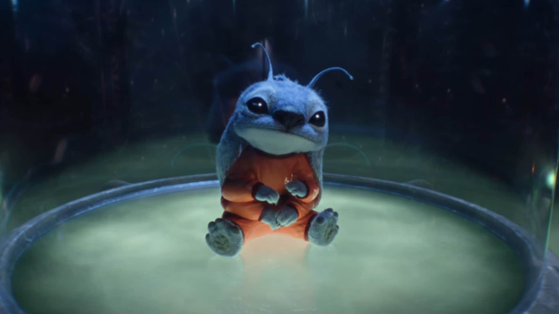 Disney Movie Lilo and Stitch Trailer Unveiled Fans Reacts on Social Media