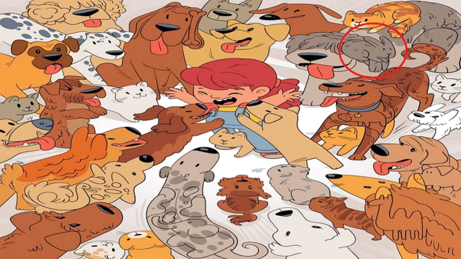 Optical Illusion iq test brain test if you have hawk eyes then find rabbit Within 9 Seconds