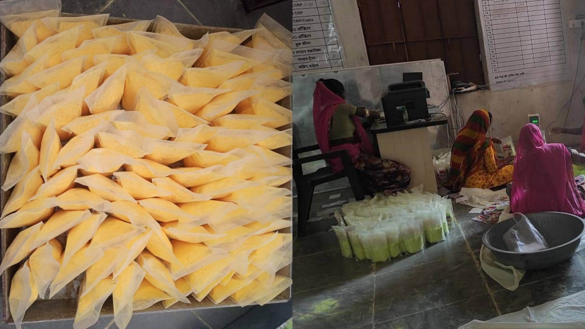 Holi Celebration Herbal gulal made from tree leaves in Rajsamand 10 thousand women got employment