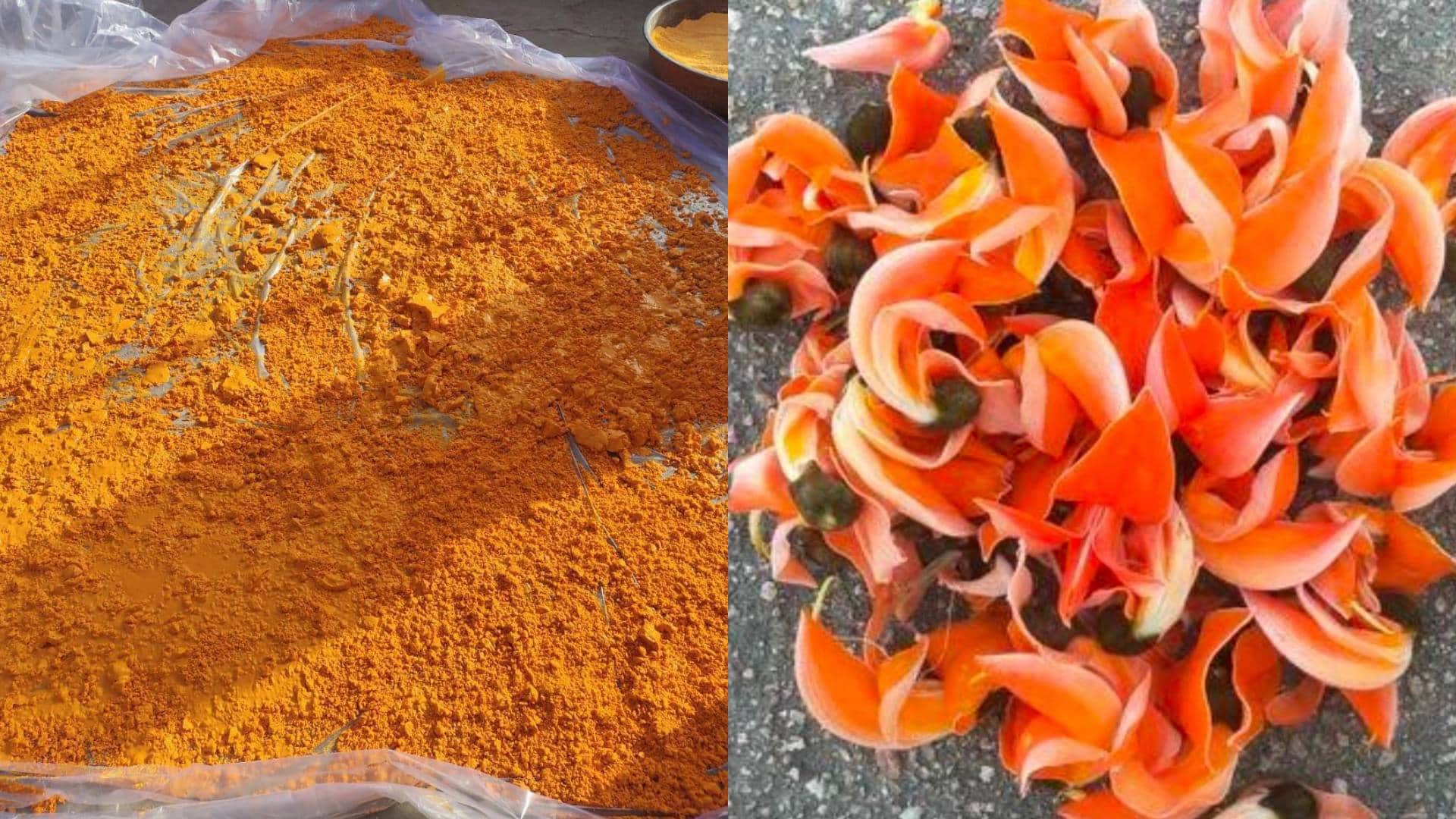 Holi Celebration Herbal gulal made from tree leaves in Rajsamand 10 thousand women got employment