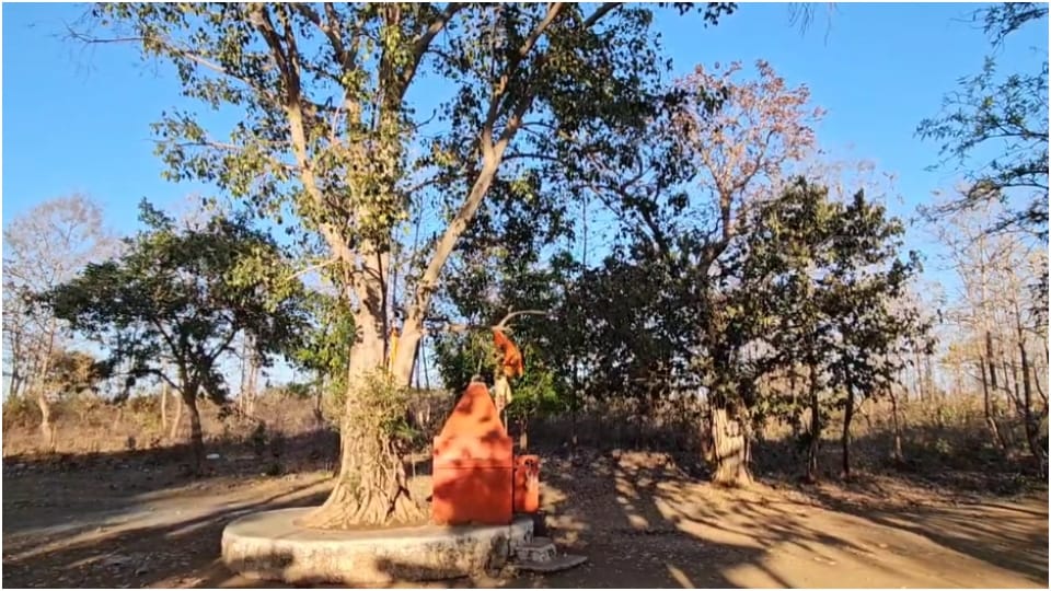 Madhya Pradesh village where Holi was Not Celebrated for Generation Know Interesting Facts MP News in Hindi