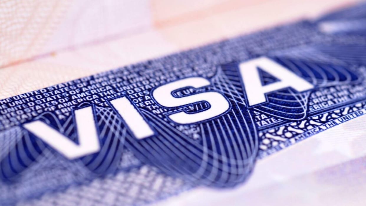 Indian-origin businessman charged with committing visa fraud in US