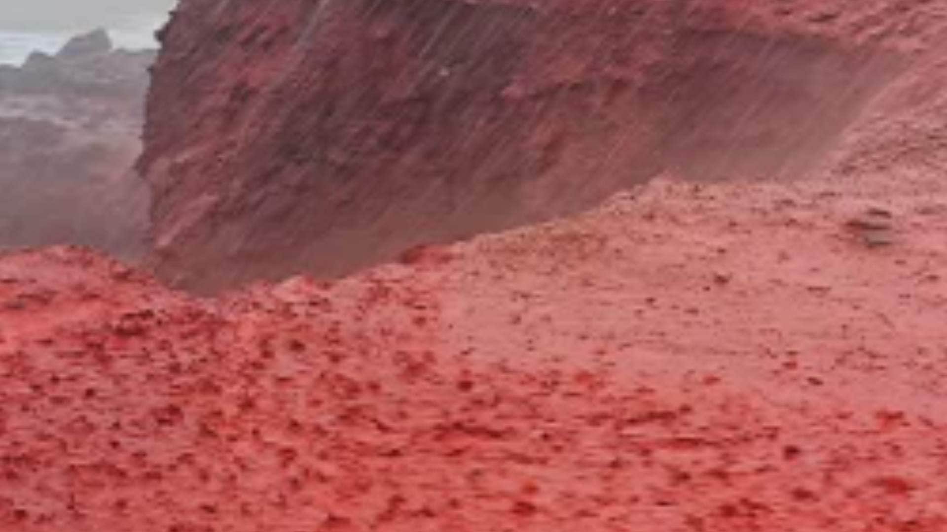 blood rain covers iran beach in red mystery know all details about blood rain
